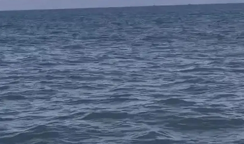 一宗淺海五年租賃權(quán)拍賣(mài)